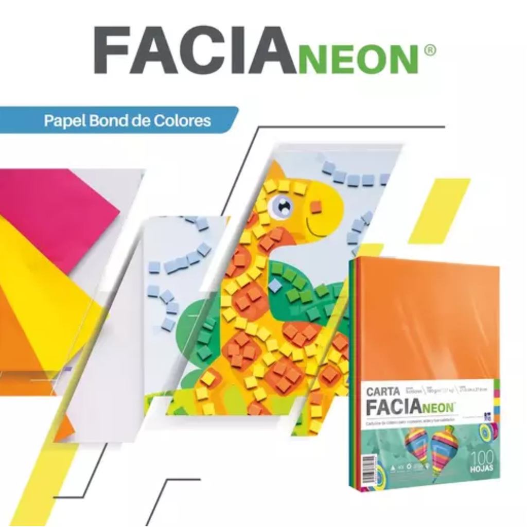 Paquete De Cartulina/ 100 Hojas / Carta / Colores Neón Drop 009