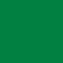 Cartulina Iris Verde Bandera 50X66 Pq 10 Drop 009