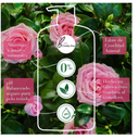 Shampoo Herbal/EssencesSmooth/Rose Hips/865ml/Drop002