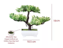 Árbol Bonsai Artificial Xiaocuisong Decoración