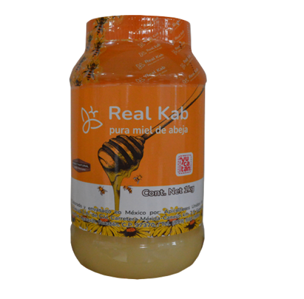 Miel Mezquita yucateca1kg ME-MEZ-001 Oaxaca Miel