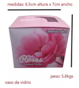 Rosas Roma Rosa Veladora Mistica 0313
