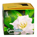 Gardenia Roma Blanca Veladora Mistica 0334