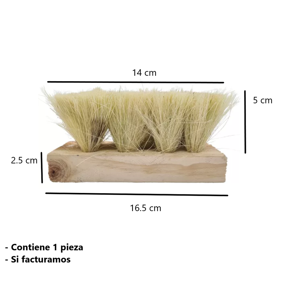 Cepillo De Ixtle Manual