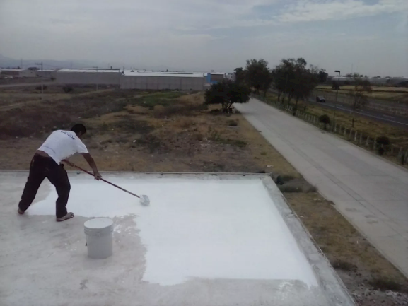 Impermeabilizante Ehcopaint 7 años Blanco