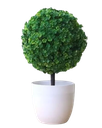 Árbol Buxu Artificial Verde Tipo Bola Decoración Bonsai