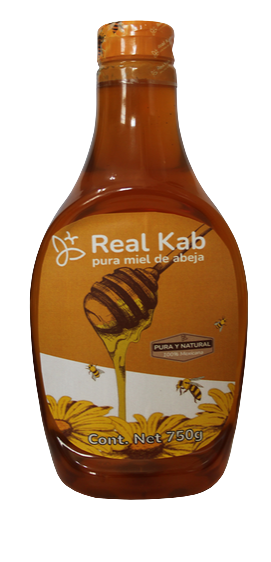 Real Kab pura mielo de abeja 750 Gr ME-RKA-002 Oaxaca Miel