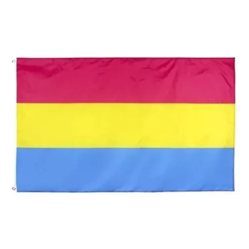 Bandera Pansexual 88.5 X 155 Cm Bandera Pride Orgullo LGBT