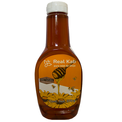 [MERKA003] Real Kab pura miel de abeja 370 GR ME-RKA-003 Oaxaca Miel