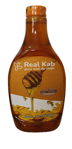 [MERKA002] Real Kab pura mielo de abeja 750 Gr ME-RKA-002 Oaxaca Miel